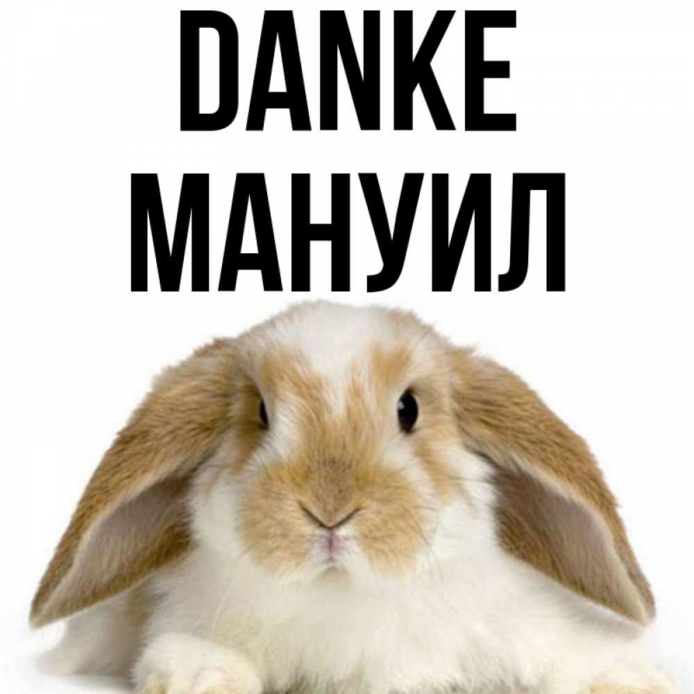 Открытка на каждый день с именем, Мануил Danke коричнево белый заяц Прикольная открытка с пожеланием онлайн скачать бесплатно 