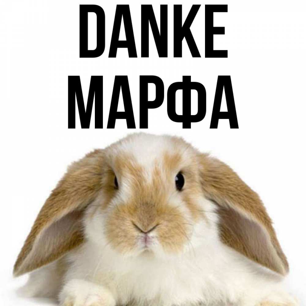 Открытка на каждый день с именем, Марфа Danke коричнево белый заяц Прикольная открытка с пожеланием онлайн скачать бесплатно 