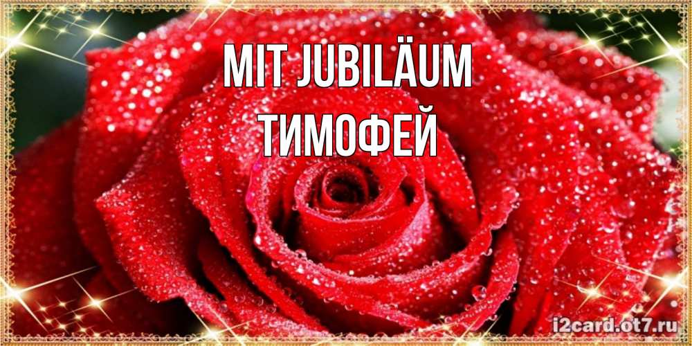 Открытка на каждый день с именем, Тимофей Mit Jubiläum роса и роза. открытка с красивой розой Прикольная открытка с пожеланием онлайн скачать бесплатно 