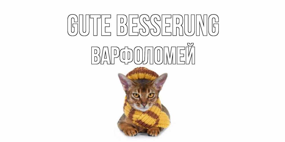 Открытка на каждый день с именем, Варфоломей Gute Besserung родные не болейте Прикольная открытка с пожеланием онлайн скачать бесплатно 