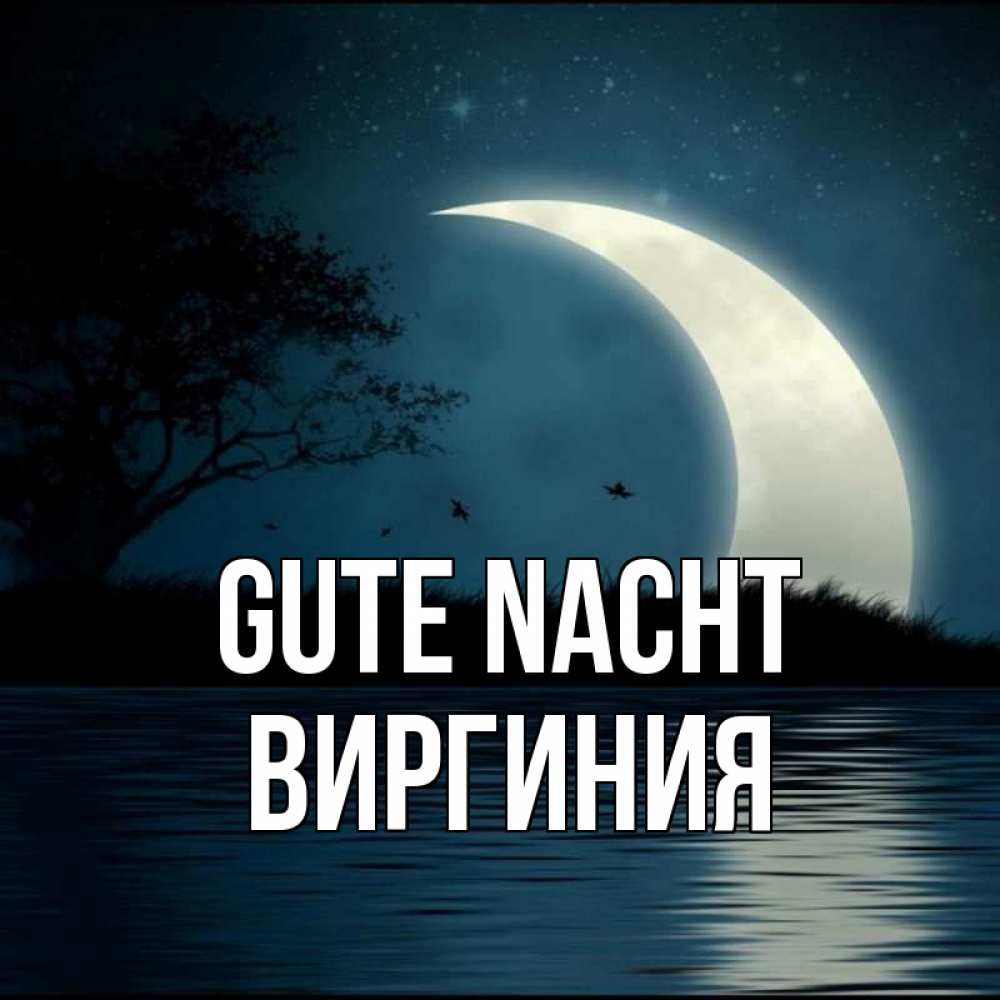 Открытка на каждый день с именем, Виргиния Gute Nacht вода Прикольная открытка с пожеланием онлайн скачать бесплатно 