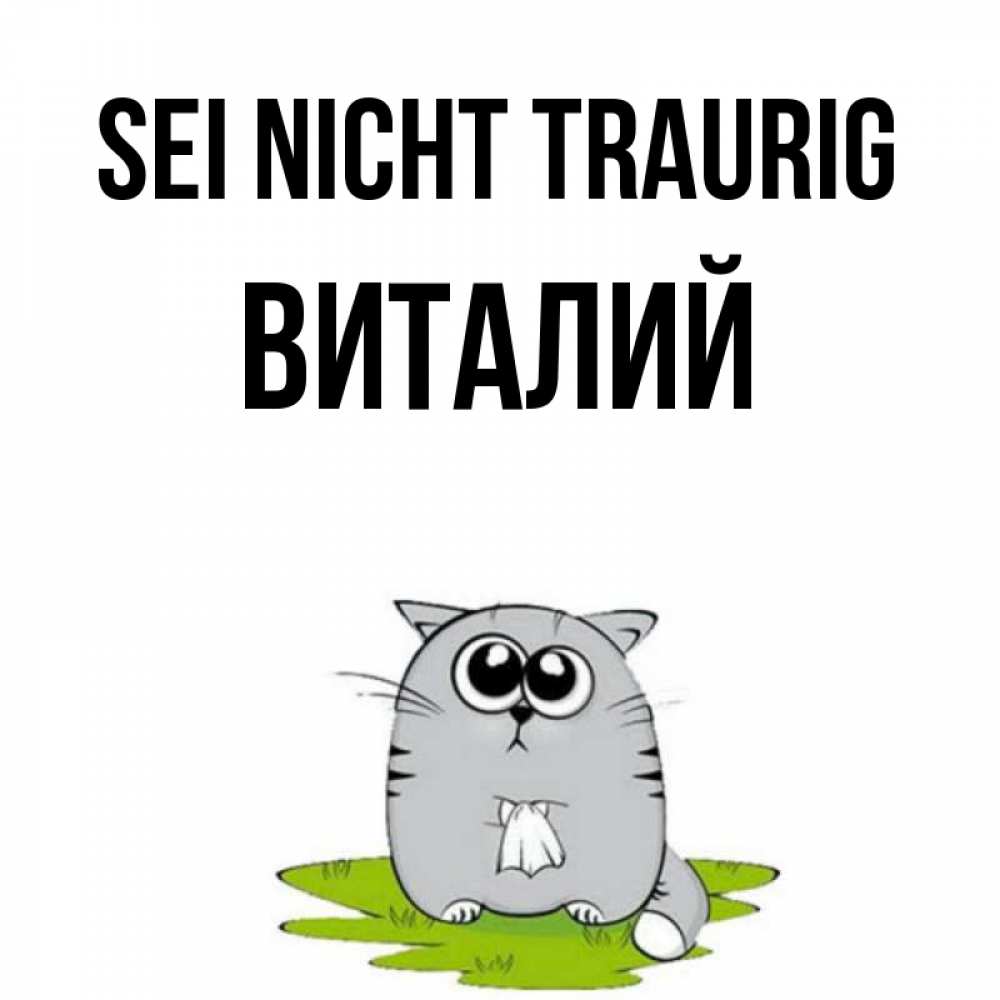 Открытка на каждый день с именем, Виталий Sei nicht traurig грустный котяра Прикольная открытка с пожеланием онлайн скачать бесплатно 