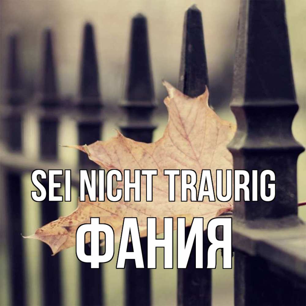 Открытка на каждый день с именем, Фания Sei nicht traurig лист клена Прикольная открытка с пожеланием онлайн скачать бесплатно 