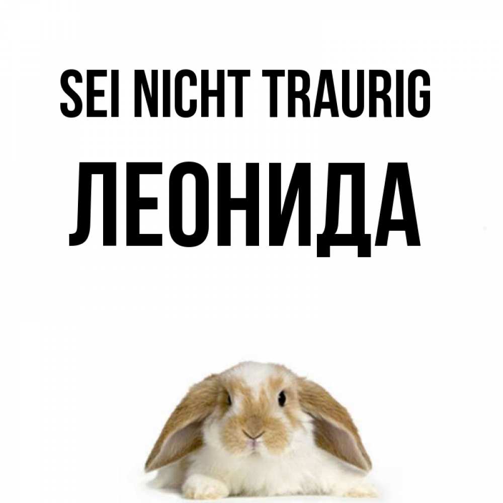 Открытка на каждый день с именем, Леонида Sei nicht traurig коричнево белый заяц с большими ушками Прикольная открытка с пожеланием онлайн скачать бесплатно 