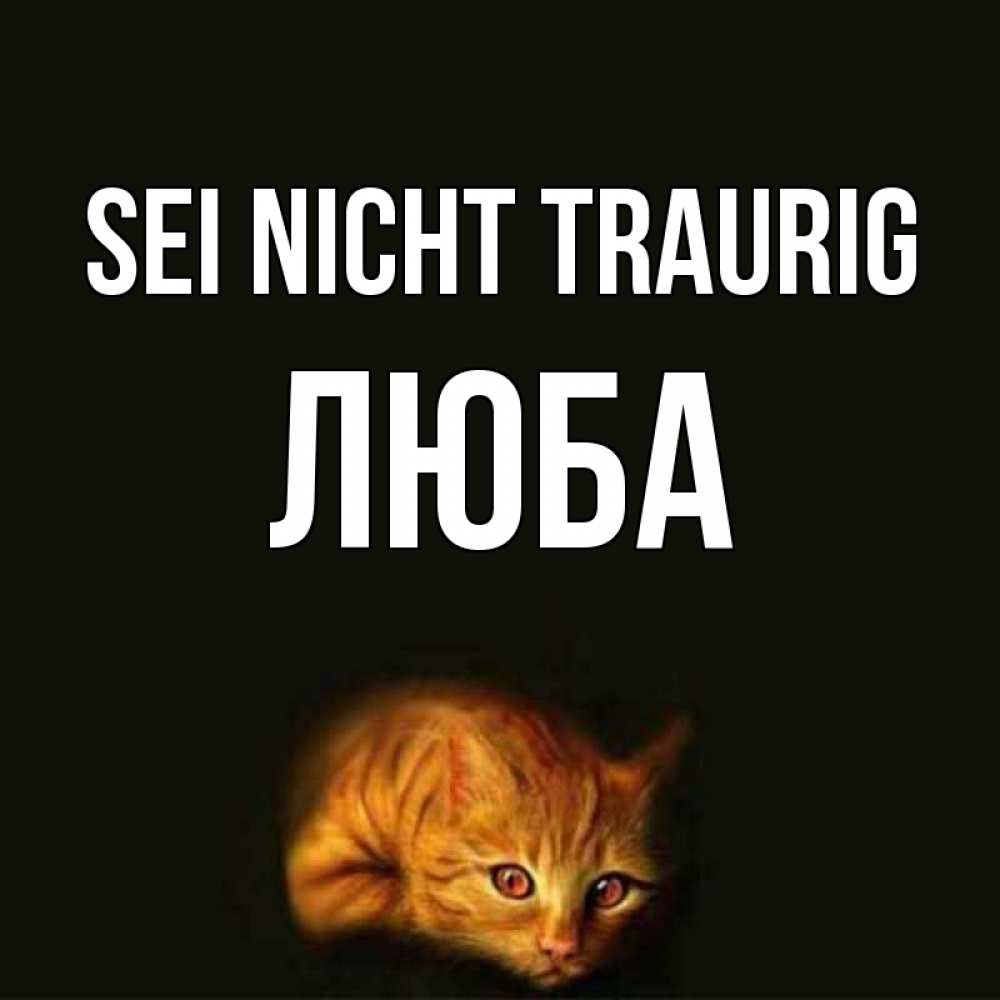 Открытка на каждый день с именем, Люба Sei nicht traurig лежащий кот в темноте Прикольная открытка с пожеланием онлайн скачать бесплатно 