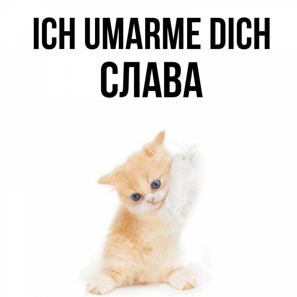 Открытка на каждый день с именем, Слава Ich umarme dich я хочу очень скорее обнимаешек Прикольная открытка с пожеланием онлайн скачать бесплатно 