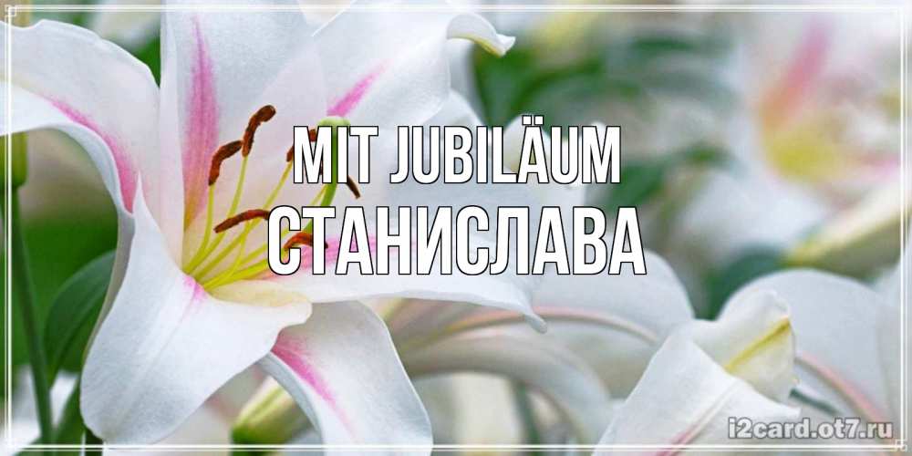 Открытка на каждый день с именем, Станислава Mit Jubiläum открытка с белой лилией Прикольная открытка с пожеланием онлайн скачать бесплатно 