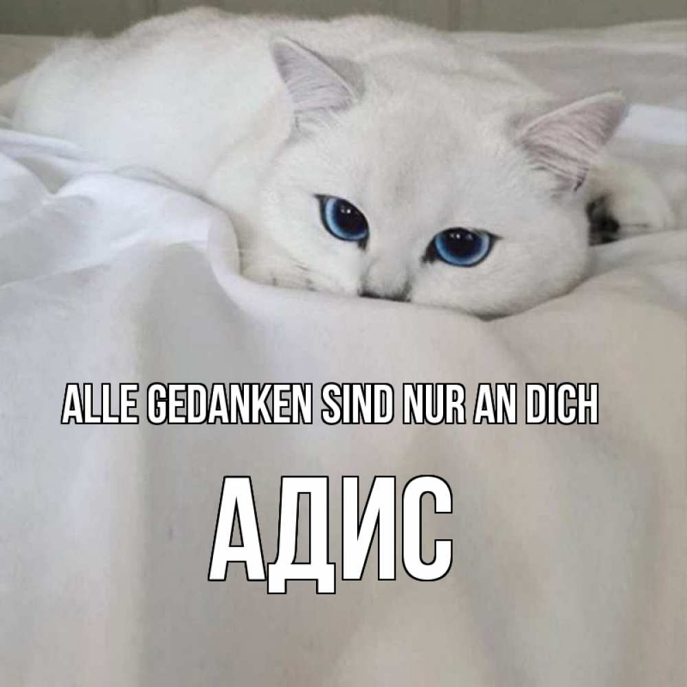 Открытка на каждый день с именем, Адис Alle Gedanken sind nur an dich я очень по тебе скучаю и тоскую Прикольная открытка с пожеланием онлайн скачать бесплатно 