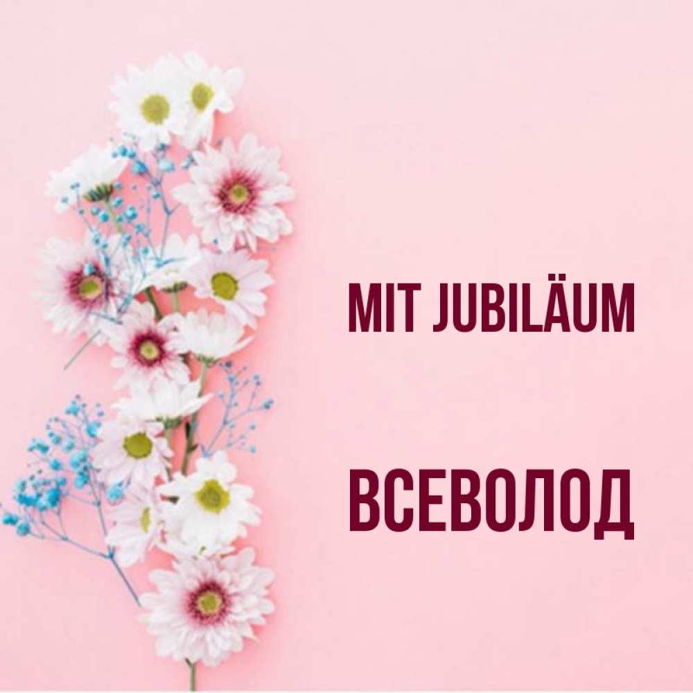 Открытка на каждый день с именем, Всеволод Mit Jubiläum Родная моя с днем рождения тебя картинка с цветами белыми и голубыми Прикольная открытка с пожеланием онлайн скачать бесплатно 