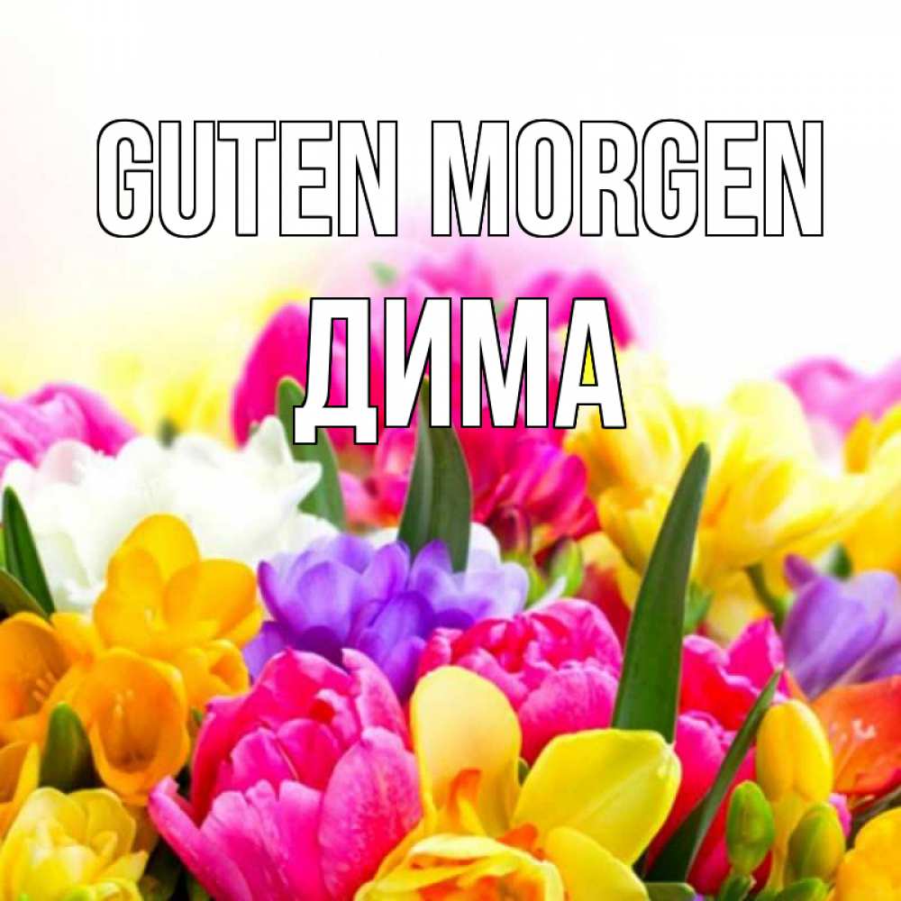 Открытка на каждый день с именем, Дима Guten Morgen создать открытку со свое подписью Прикольная открытка с пожеланием онлайн скачать бесплатно 