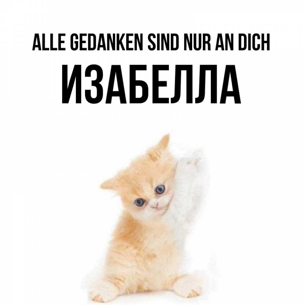 Открытка на каждый день с именем, Изабелла Alle Gedanken sind nur an dich зверушки и милота Прикольная открытка с пожеланием онлайн скачать бесплатно 