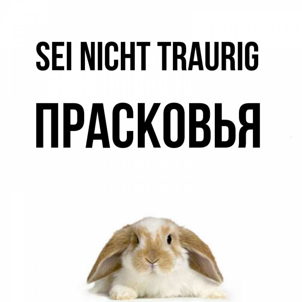 Открытка на каждый день с именем, Прасковья Sei nicht traurig коричнево белый заяц с большими ушками Прикольная открытка с пожеланием онлайн скачать бесплатно 