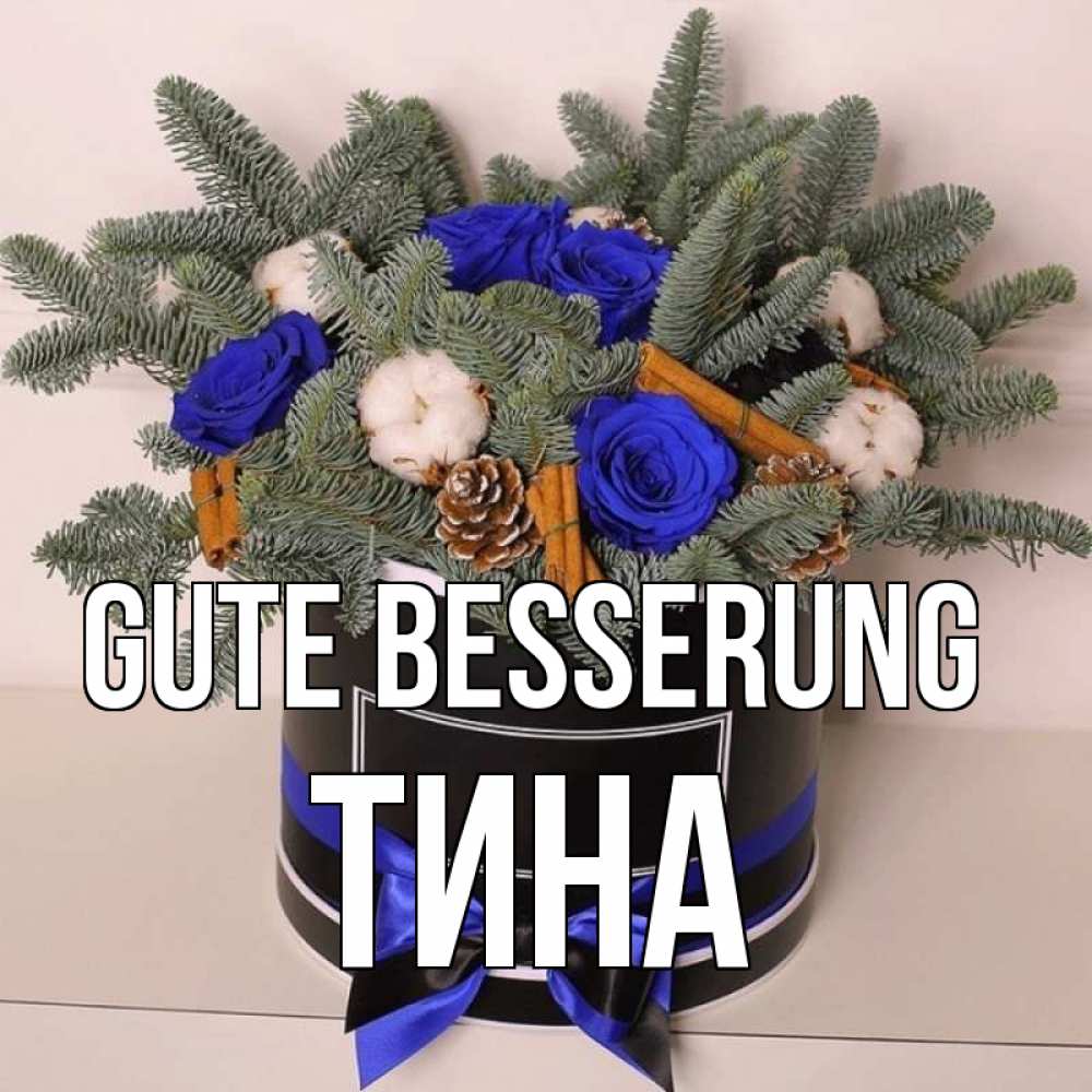 Открытка на каждый день с именем, Тина Gute Besserung короче кто то загрузил эти шишки Прикольная открытка с пожеланием онлайн скачать бесплатно 