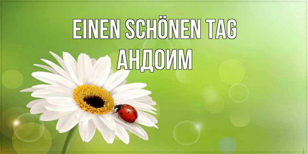 Открытка на каждый день с именем, Андоим Einen schönen Tag зеленый фон и ромашка Прикольная открытка с пожеланием онлайн скачать бесплатно 