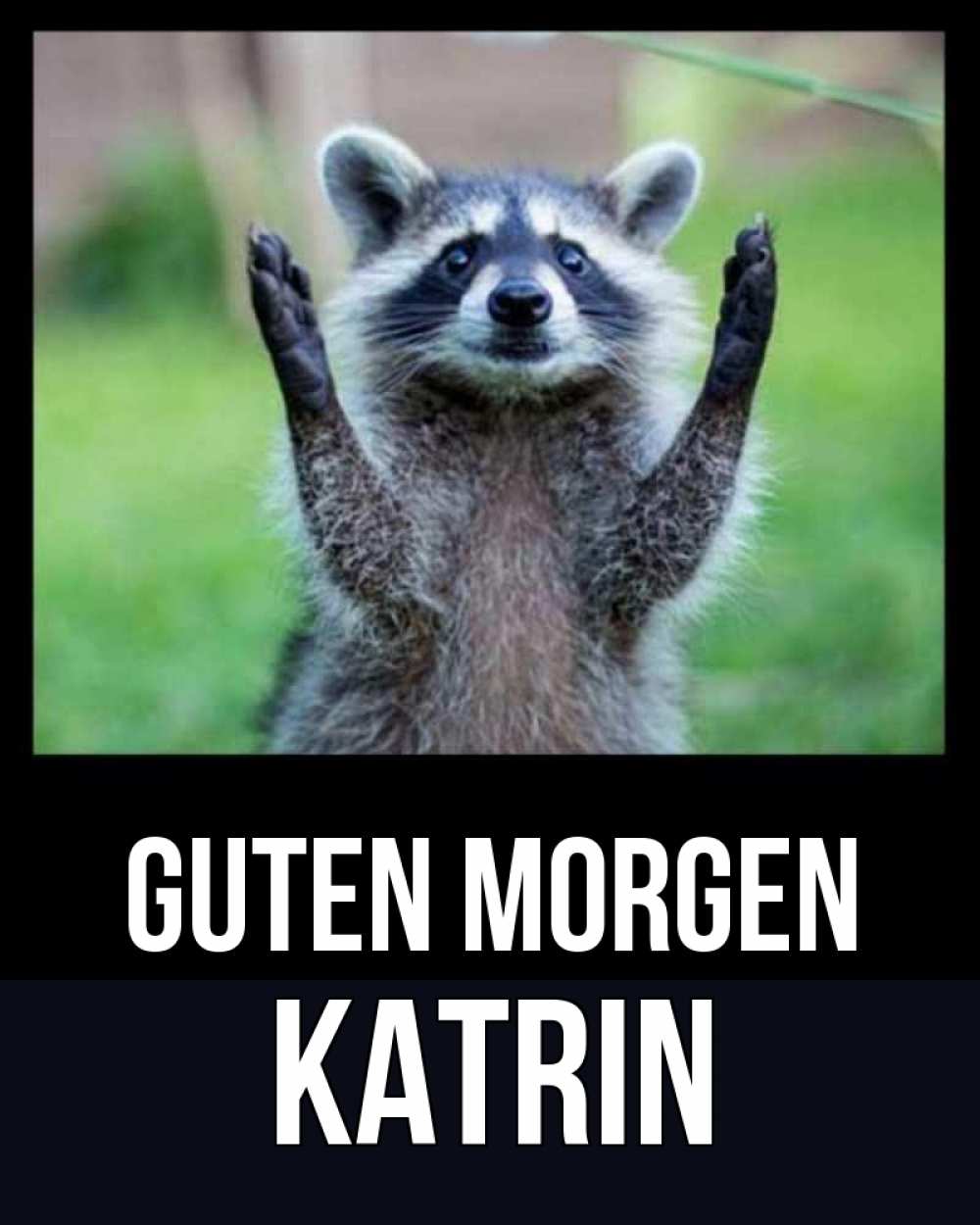 Открытка на каждый день с именем, Katrin Guten Morgen хорошее настроение утречком Прикольная открытка с пожеланием онлайн скачать бесплатно 