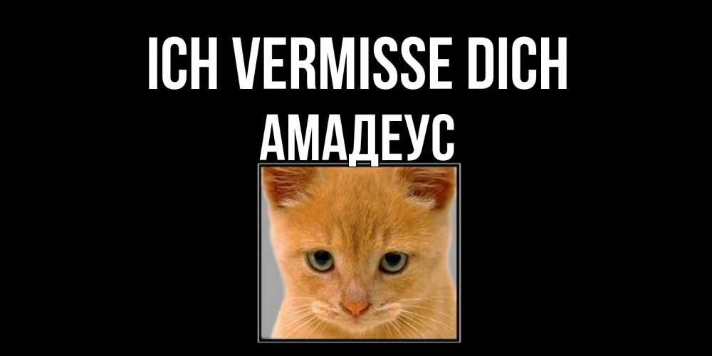 Открытка на каждый день с именем, Амадеус Ich vermisse dich открытки рыжий котенок скучает по тебе Прикольная открытка с пожеланием онлайн скачать бесплатно 