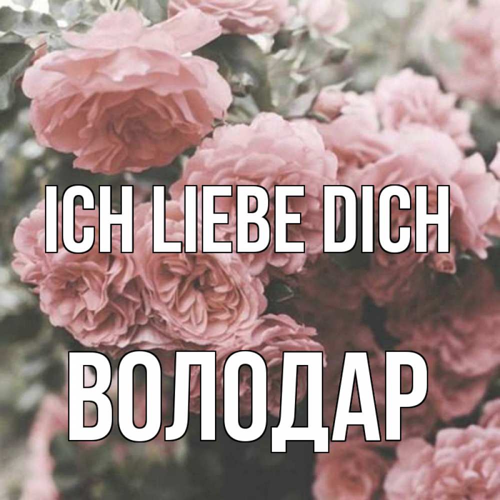 Открытка на каждый день с именем, Володар Ich liebe dich розы 3 Прикольная открытка с пожеланием онлайн скачать бесплатно 