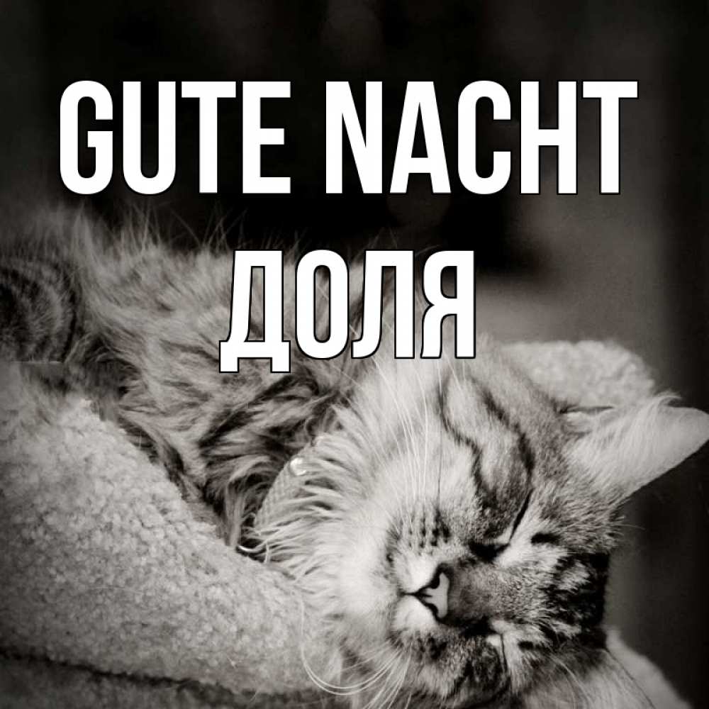 Открытка на каждый день с именем, Доля Gute Nacht котярик пушистый Прикольная открытка с пожеланием онлайн скачать бесплатно 