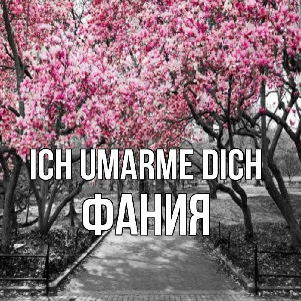 Открытка на каждый день с именем, Фания Ich umarme dich обработанное фото Прикольная открытка с пожеланием онлайн скачать бесплатно 
