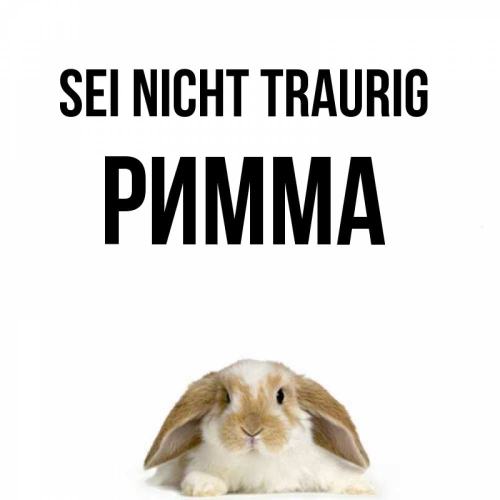 Открытка на каждый день с именем, Римма Sei nicht traurig коричнево белый заяц с большими ушками Прикольная открытка с пожеланием онлайн скачать бесплатно 