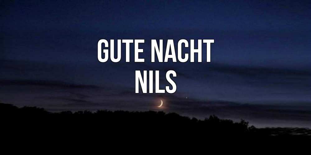 Открытка на каждый день с именем, Nils Gute Nacht месяц Прикольная открытка с пожеланием онлайн скачать бесплатно 