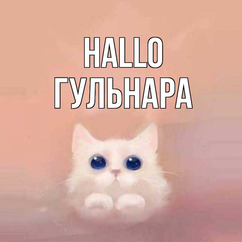 Открытка на каждый день с именем, Гульнара Hallo котик белый в полете Прикольная открытка с пожеланием онлайн скачать бесплатно 
