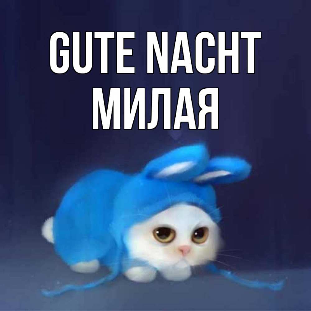 Открытка на каждый день с именем, Милая Gute Nacht кот в голубом костюме кролика с ушками Прикольная открытка с пожеланием онлайн скачать бесплатно 