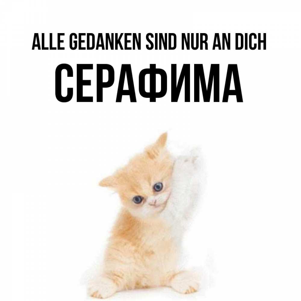 Открытка на каждый день с именем, Серафима Alle Gedanken sind nur an dich зверушки и милота Прикольная открытка с пожеланием онлайн скачать бесплатно 