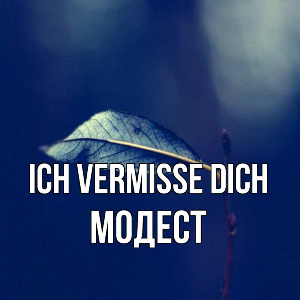 Открытка на каждый день с именем, Модест Ich vermisse dich одна ветка 1 Прикольная открытка с пожеланием онлайн скачать бесплатно 