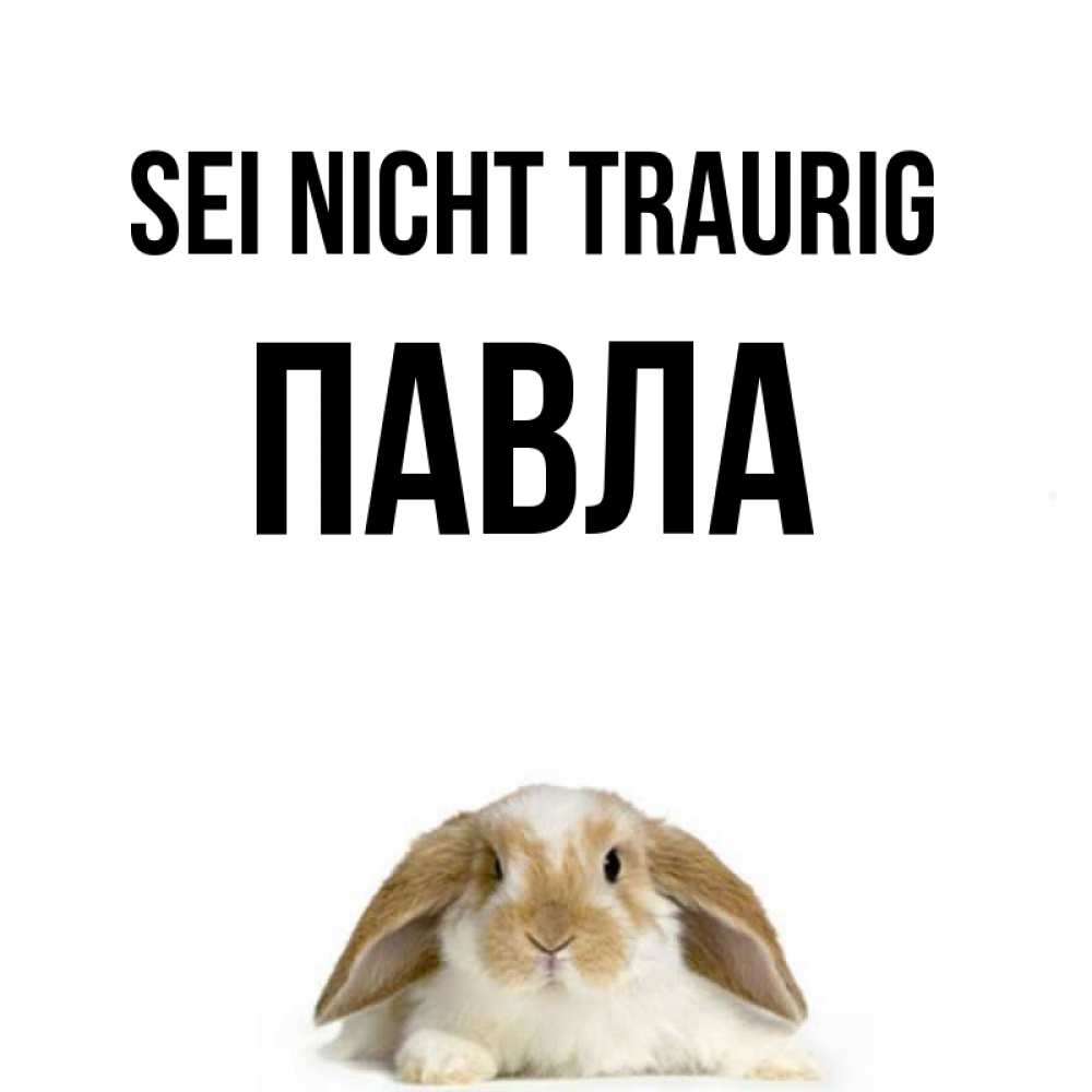 Открытка на каждый день с именем, Павла Sei nicht traurig коричнево белый заяц с большими ушками Прикольная открытка с пожеланием онлайн скачать бесплатно 