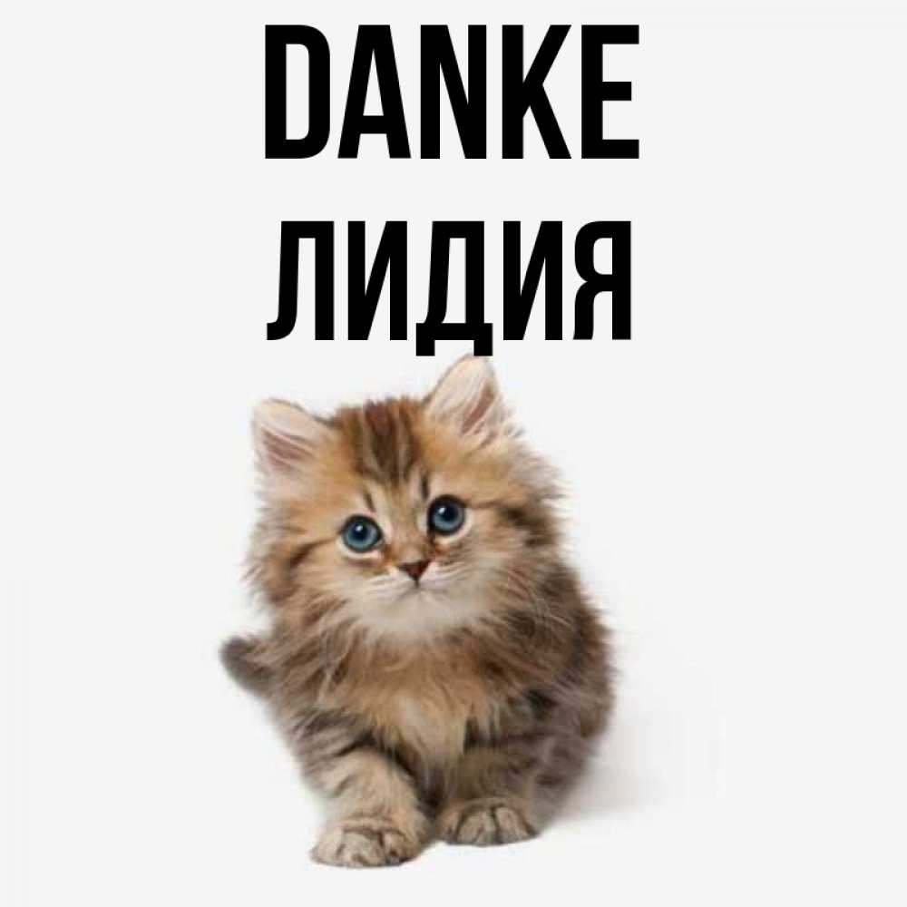 Открытка на каждый день с именем, Лидия Danke пушистый котик Прикольная открытка с пожеланием онлайн скачать бесплатно 