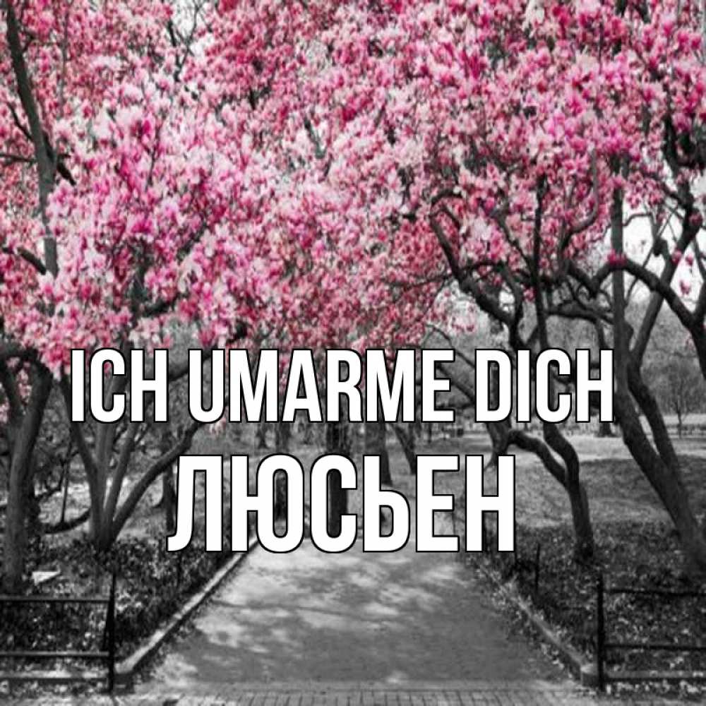 Открытка на каждый день с именем, Люсьен Ich umarme dich обработанное фото Прикольная открытка с пожеланием онлайн скачать бесплатно 