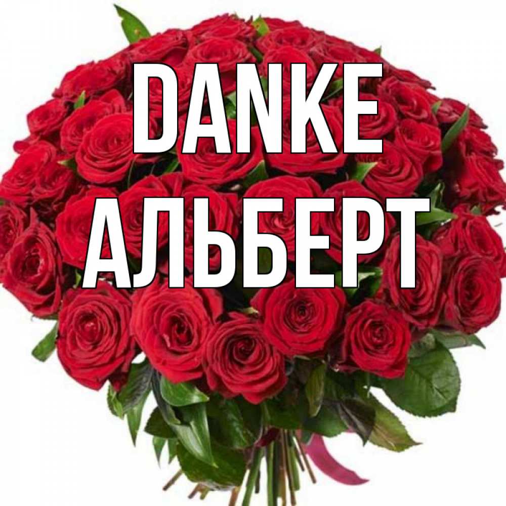Открытка на каждый день с именем, Альберт Danke букет красных роз Прикольная открытка с пожеланием онлайн скачать бесплатно 