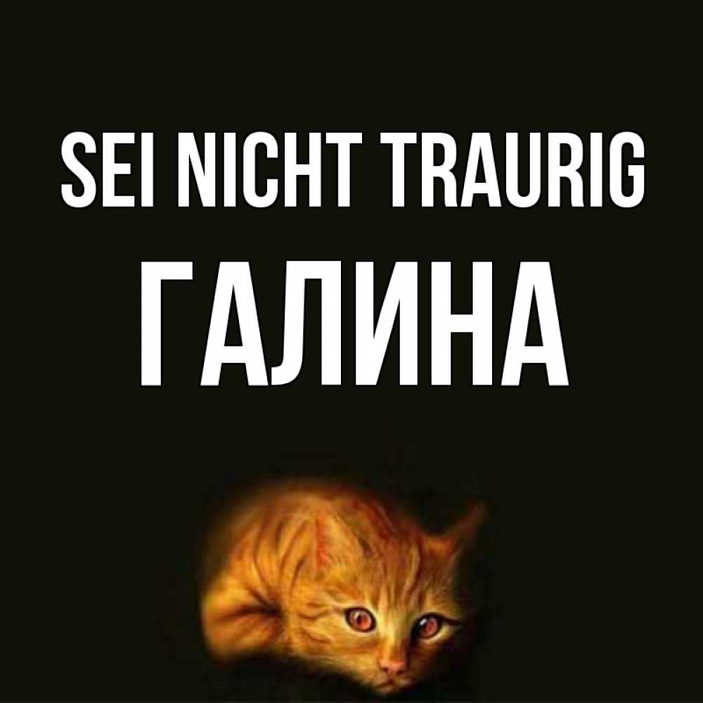 Открытка на каждый день с именем, Галина Sei nicht traurig лежащий кот в темноте Прикольная открытка с пожеланием онлайн скачать бесплатно 