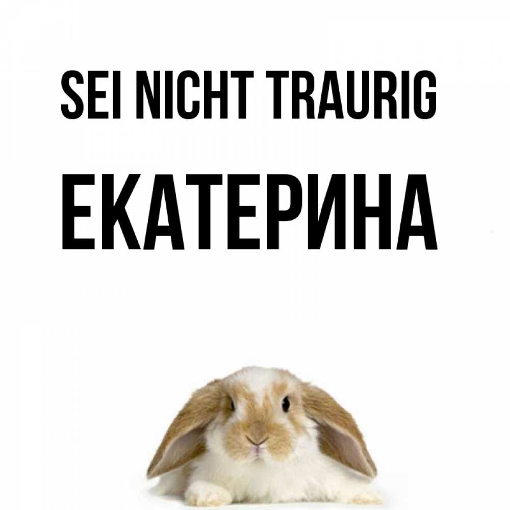 Открытка на каждый день с именем, Екатерина Sei nicht traurig коричнево белый заяц с большими ушками Прикольная открытка с пожеланием онлайн скачать бесплатно 