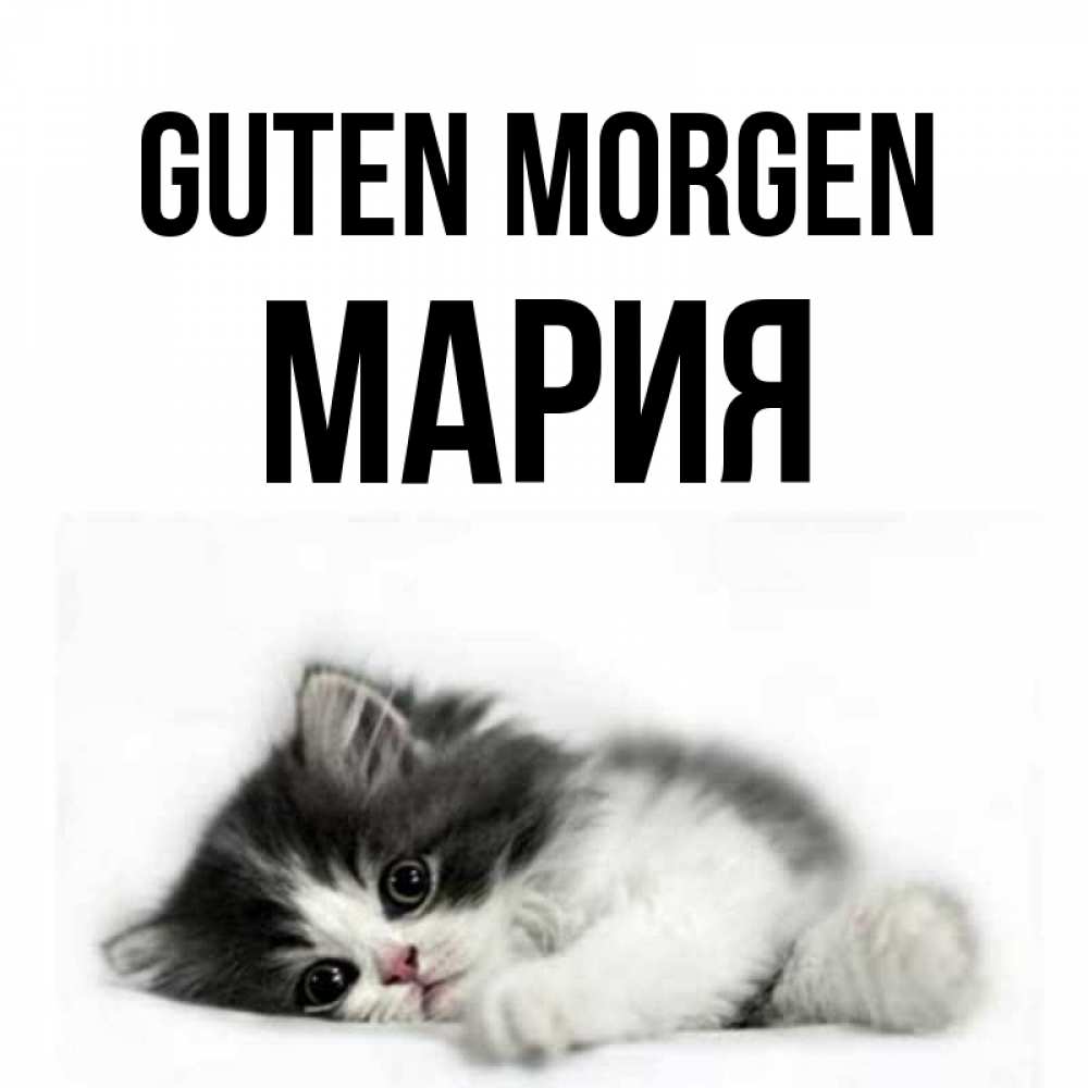 Открытка на каждый день с именем, Мария Guten Morgen кот лапки Прикольная открытка с пожеланием онлайн скачать бесплатно 