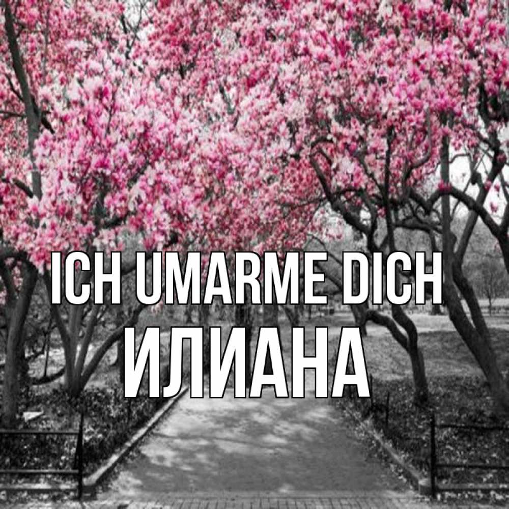 Открытка на каждый день с именем, Илиана Ich umarme dich обработанное фото Прикольная открытка с пожеланием онлайн скачать бесплатно 