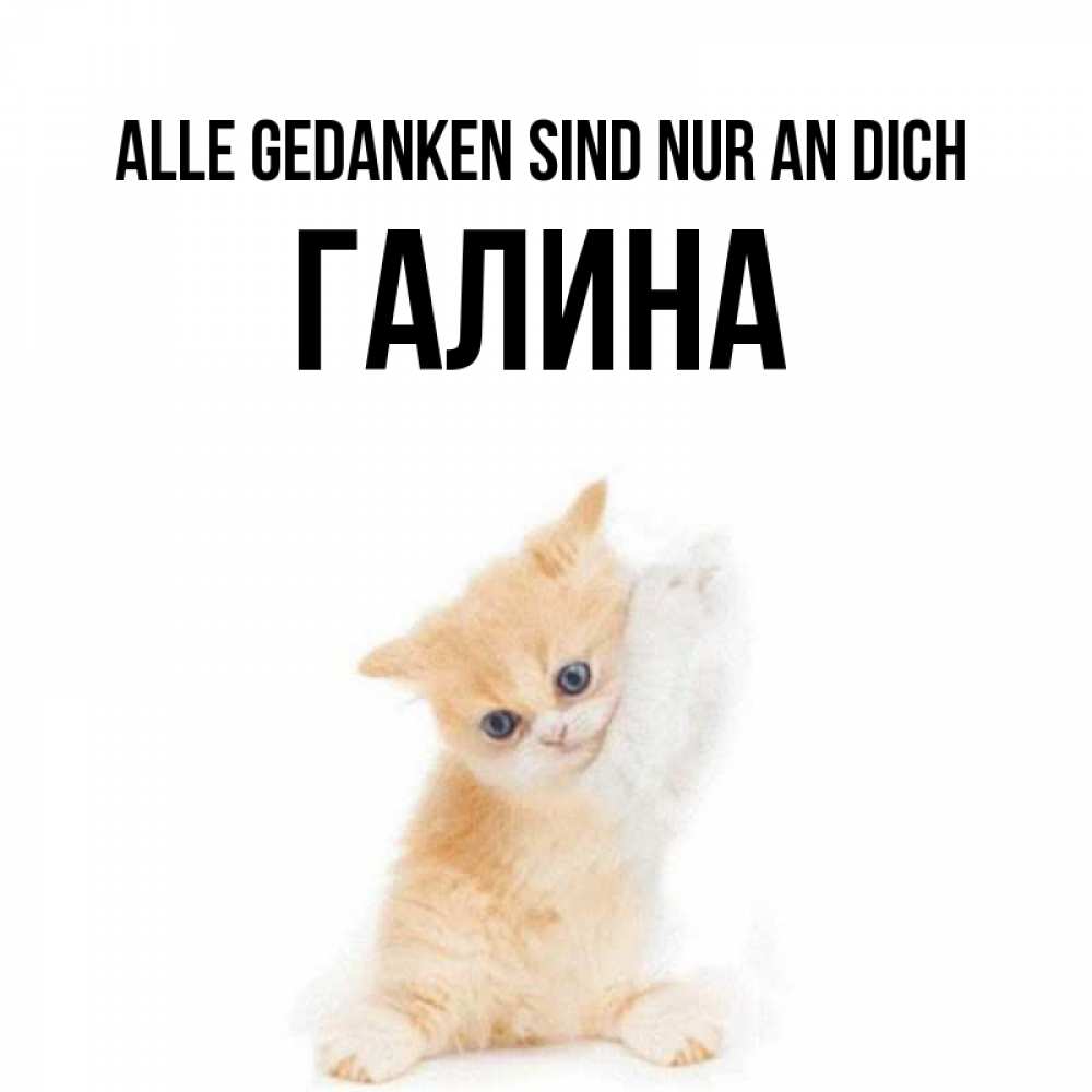 Открытка на каждый день с именем, Галина Alle Gedanken sind nur an dich зверушки и милота Прикольная открытка с пожеланием онлайн скачать бесплатно 