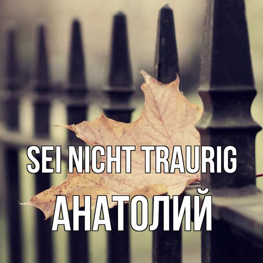 Открытка на каждый день с именем, Анатолий Sei nicht traurig лист клена Прикольная открытка с пожеланием онлайн скачать бесплатно 