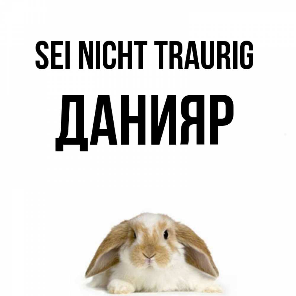 Открытка на каждый день с именем, Данияр Sei nicht traurig коричнево белый заяц с большими ушками Прикольная открытка с пожеланием онлайн скачать бесплатно 