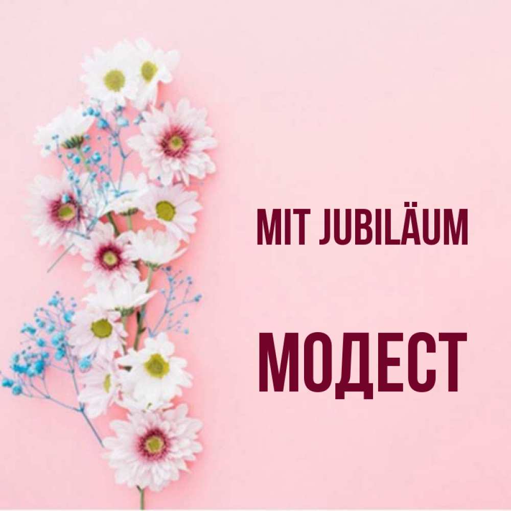 Открытка на каждый день с именем, Модест Mit Jubiläum Родная моя с днем рождения тебя картинка с цветами белыми и голубыми Прикольная открытка с пожеланием онлайн скачать бесплатно 