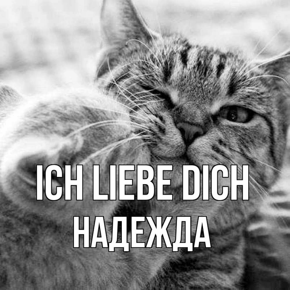 Открытка на каждый день с именем, Надежда Ich liebe dich коты Прикольная открытка с пожеланием онлайн скачать бесплатно 