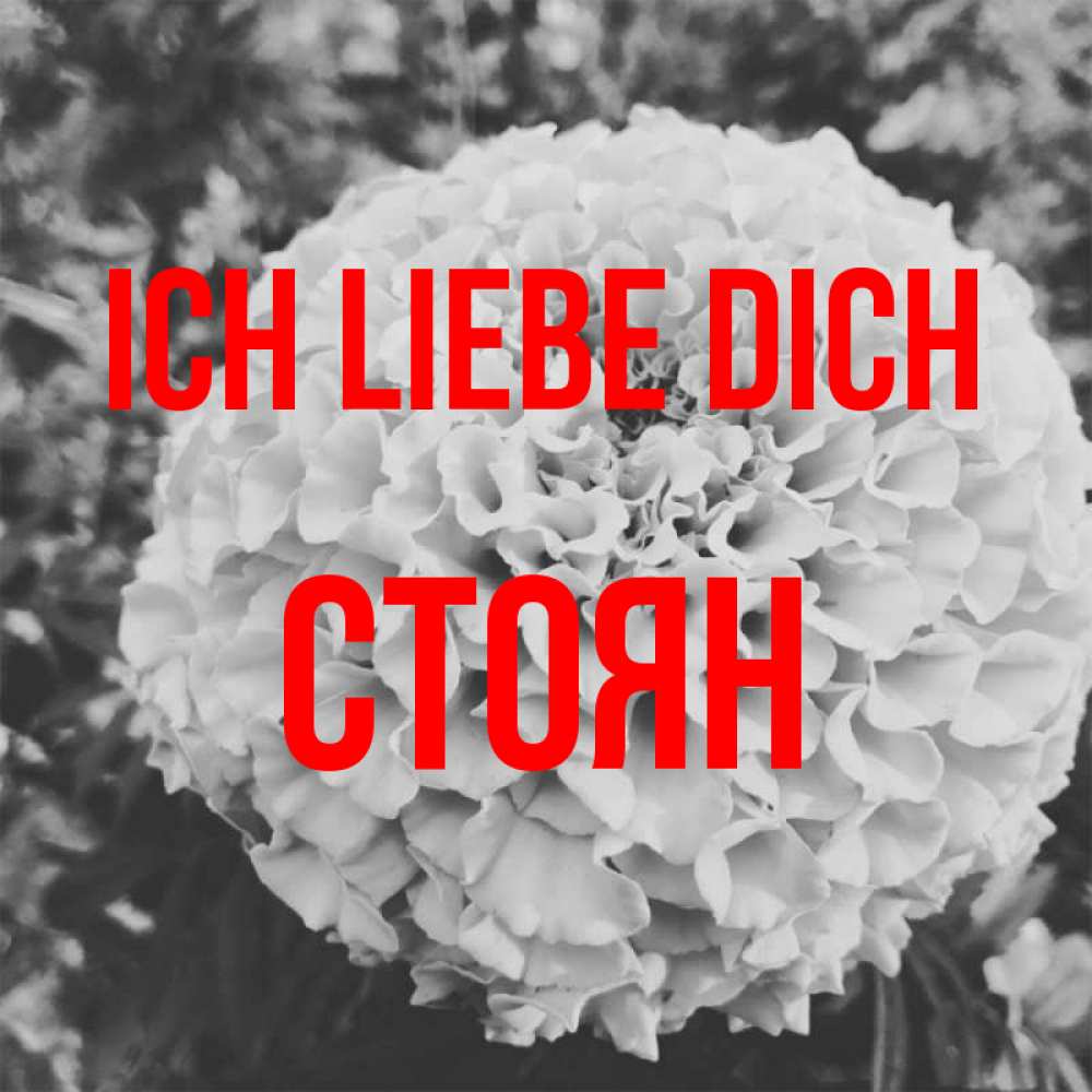 Открытка на каждый день с именем, Стоян Ich liebe dich подпись Прикольная открытка с пожеланием онлайн скачать бесплатно 