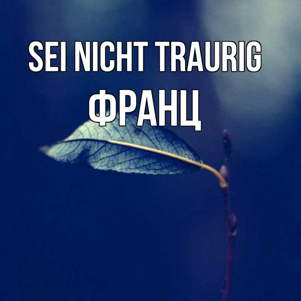 Открытка на каждый день с именем, Франц Sei nicht traurig растение Прикольная открытка с пожеланием онлайн скачать бесплатно 