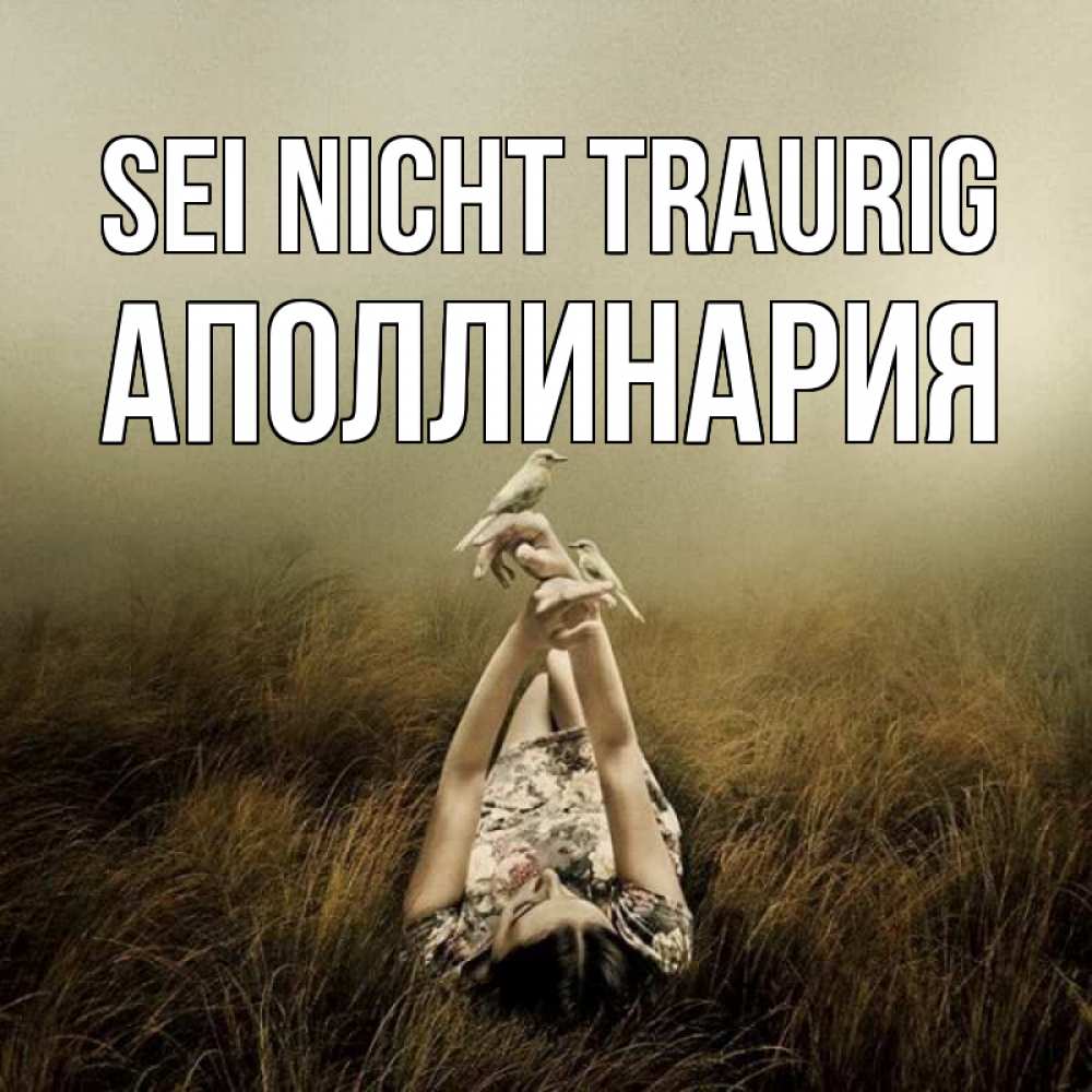 Открытка на каждый день с именем, Аполлинария Sei nicht traurig поле и туман Прикольная открытка с пожеланием онлайн скачать бесплатно 