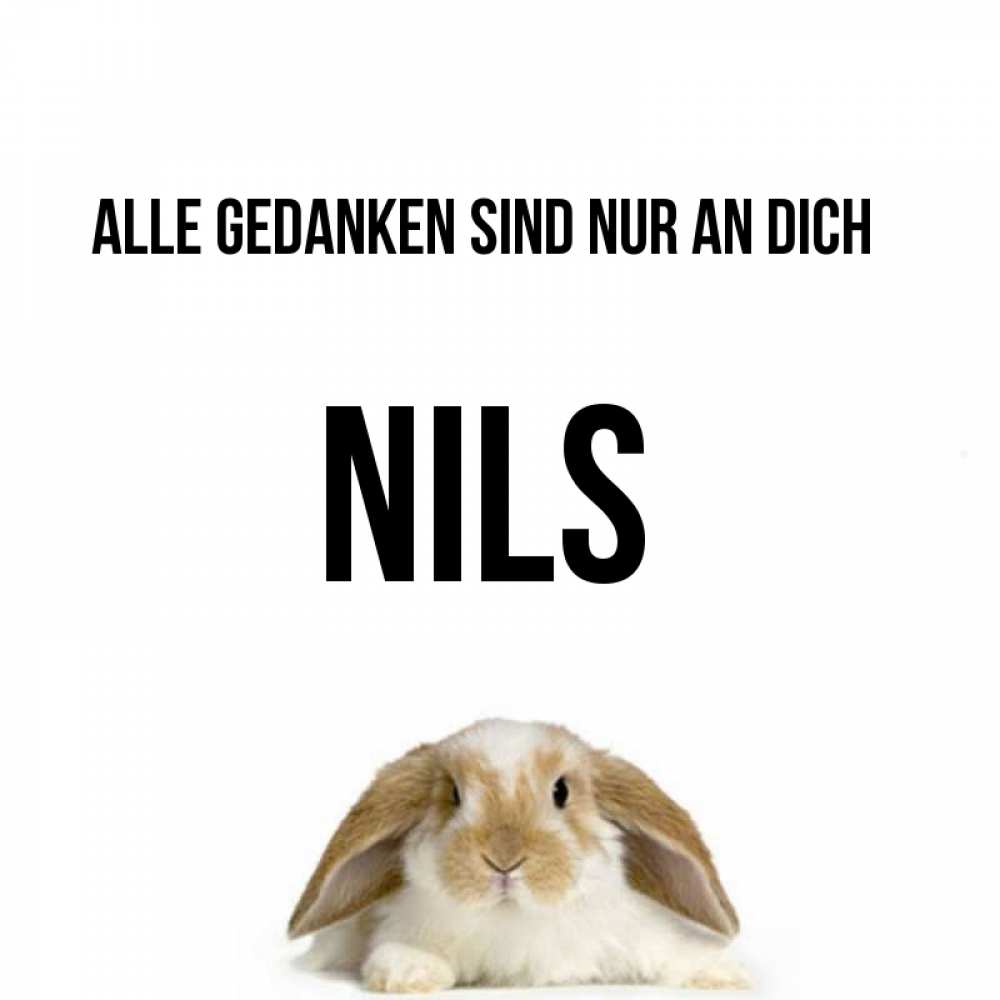 Открытка на каждый день с именем, Nils Alle Gedanken sind nur an dich подписать своими руками онлайн Прикольная открытка с пожеланием онлайн скачать бесплатно 