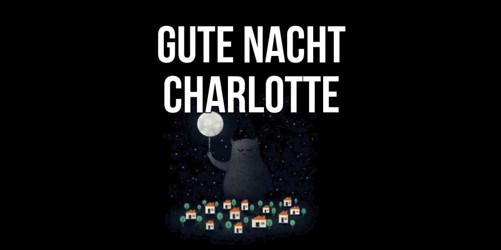Открытка на каждый день с именем, Charlotte Gute Nacht кот,луна, ночь, звезды Прикольная открытка с пожеланием онлайн скачать бесплатно 