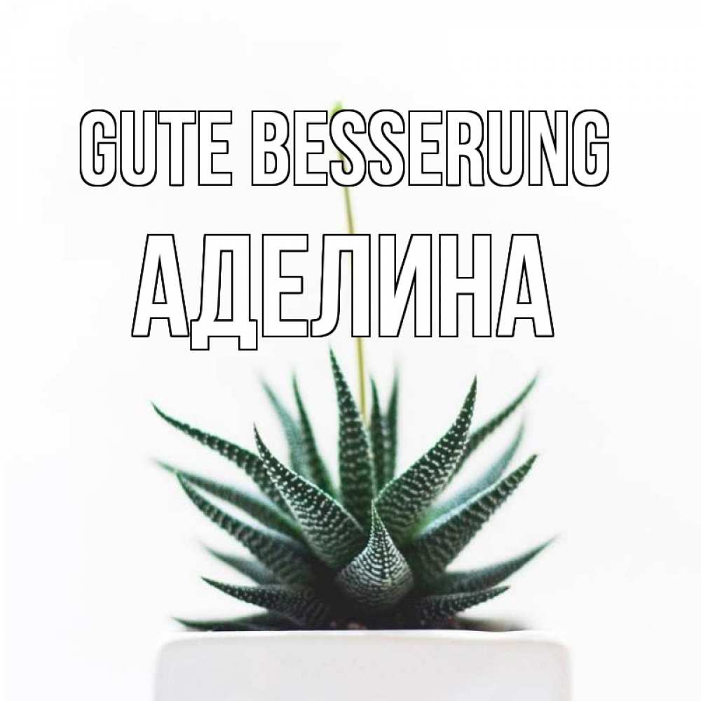 Открытка на каждый день с именем, Аделина Gute Besserung короче это непонятная колючка Прикольная открытка с пожеланием онлайн скачать бесплатно 
