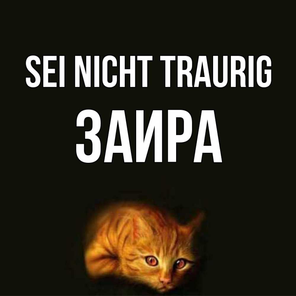 Открытка на каждый день с именем, Заира Sei nicht traurig лежащий кот в темноте Прикольная открытка с пожеланием онлайн скачать бесплатно 