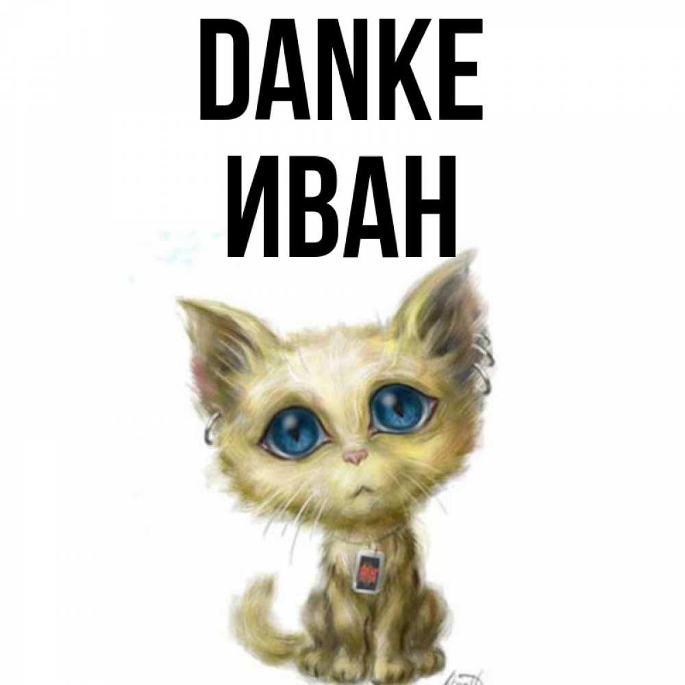 Открытка на каждый день с именем, Иван Danke рисованный кот благодарит вас Прикольная открытка с пожеланием онлайн скачать бесплатно 